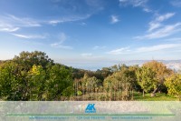 MG_6656