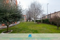 MG_7254
