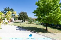MG_8224